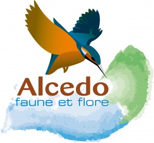 Logo Alcedo Quadri